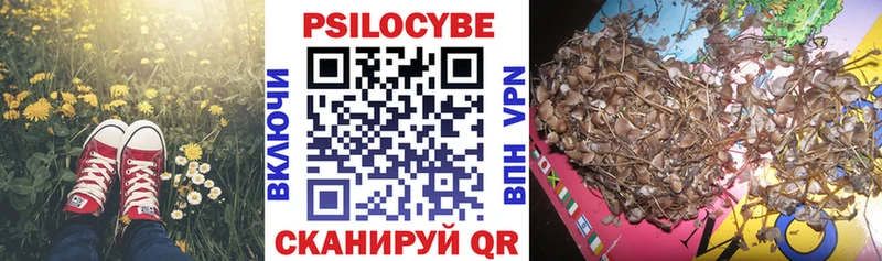 купить наркотики цена  Нестеров  Псилоцибиновые грибы ЛСД 